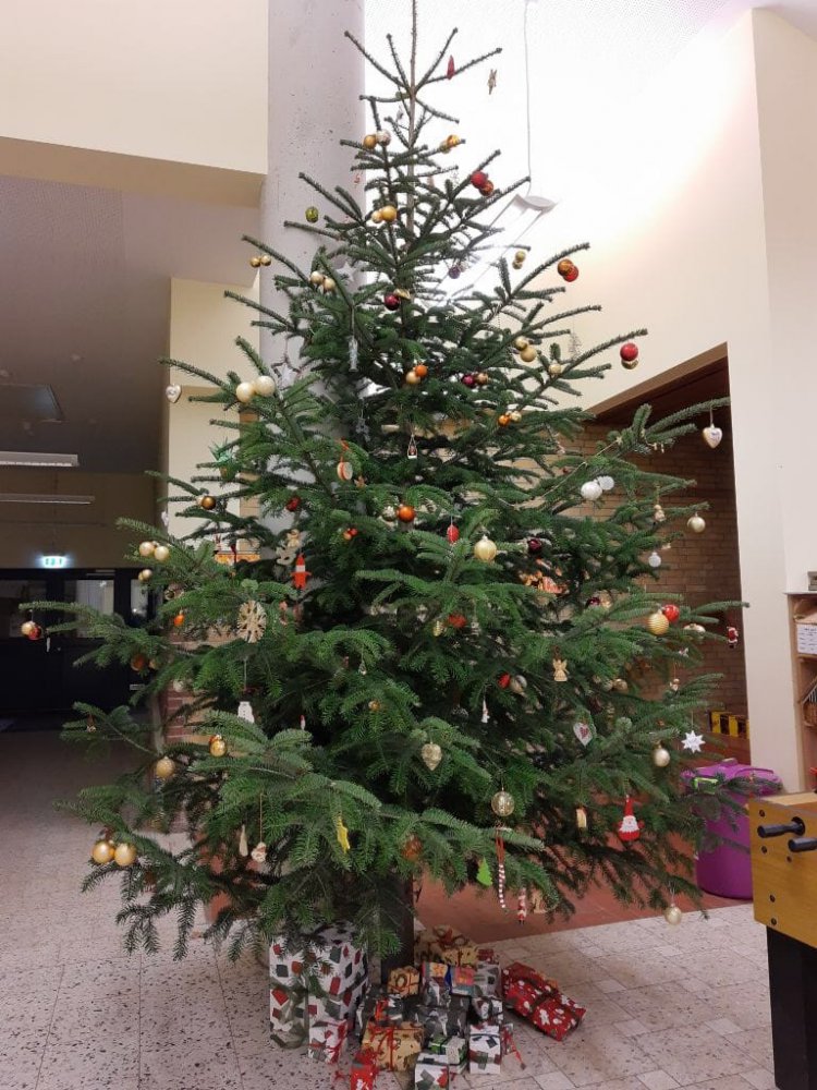 Weihnachtsbaum 2020
